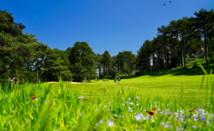Trophée Resonance Golf Écologie : 10 étapes pour un golf plus durable ! - Open Golf Club