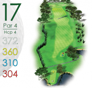 Golf Sainte Baume, parcours 18 trous à Nans Les Pins | Var -Trou-17 détail