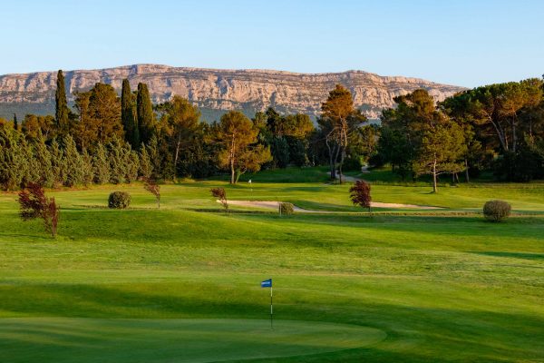 Cotisation  COLLECTION