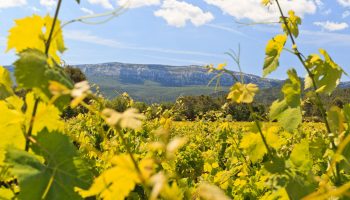 Golf Sainte Baume - partenaire Wine In Provence