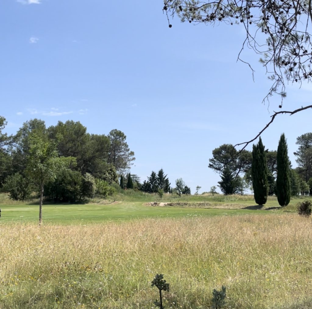 Le Golf Sainte Baume reçoit le Label Bronze Golf pour la Biodiversité. - roughs