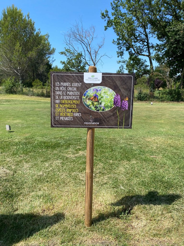 Le Golf Sainte Baume reçoit le Label Bronze Golf pour la Biodiversité. - prairie