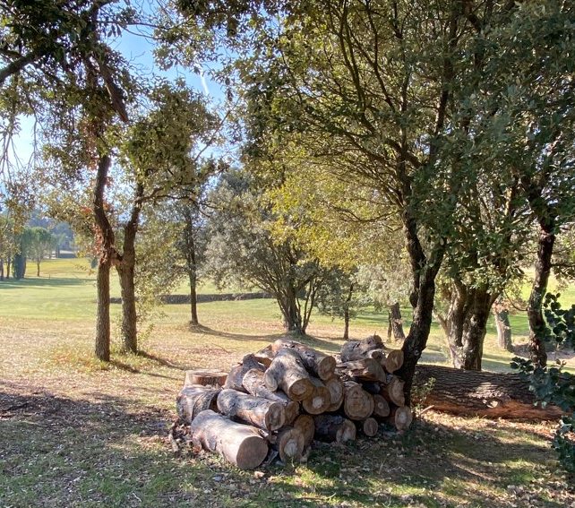 Le Golf Sainte Baume reçoit le Label Bronze Golf pour la Biodiversité. - nid à insectes