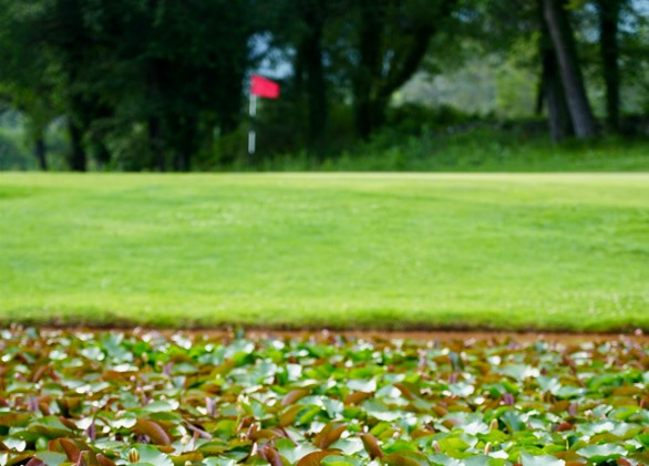 Le Golf Sainte Baume mène des actions engagées en faveur de la transition écologique