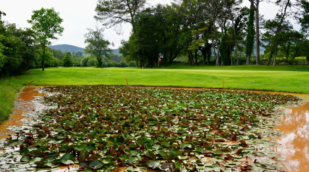 Les actions menées face aux enjeux écologiques au Golf Sainte Baume à Nans Les Pins - protection de la biodiversité