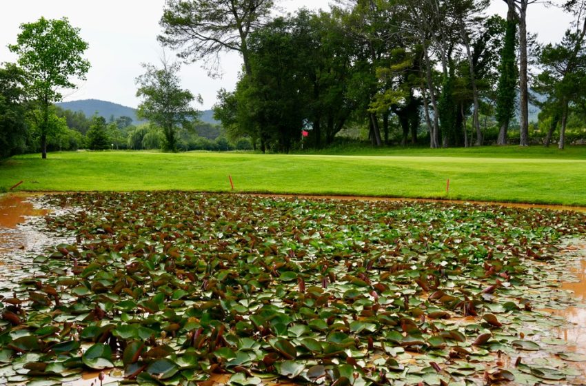 Les actions menées face aux enjeux écologiques au Golf Sainte Baume à Nans Les Pins - protection de la biodiversité