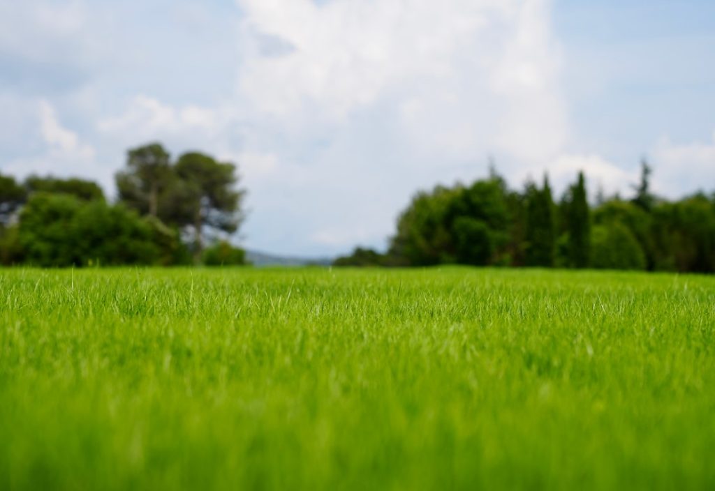 Les actions menées face aux enjeux écologiques au Golf Sainte Baume à Nans Les Pins - utilisation des produits 2