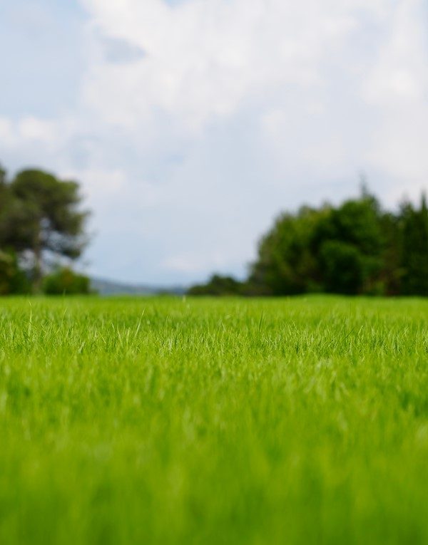 Les actions menées face aux enjeux écologiques au Golf Sainte Baume à Nans Les Pins - utilisation des produits 2