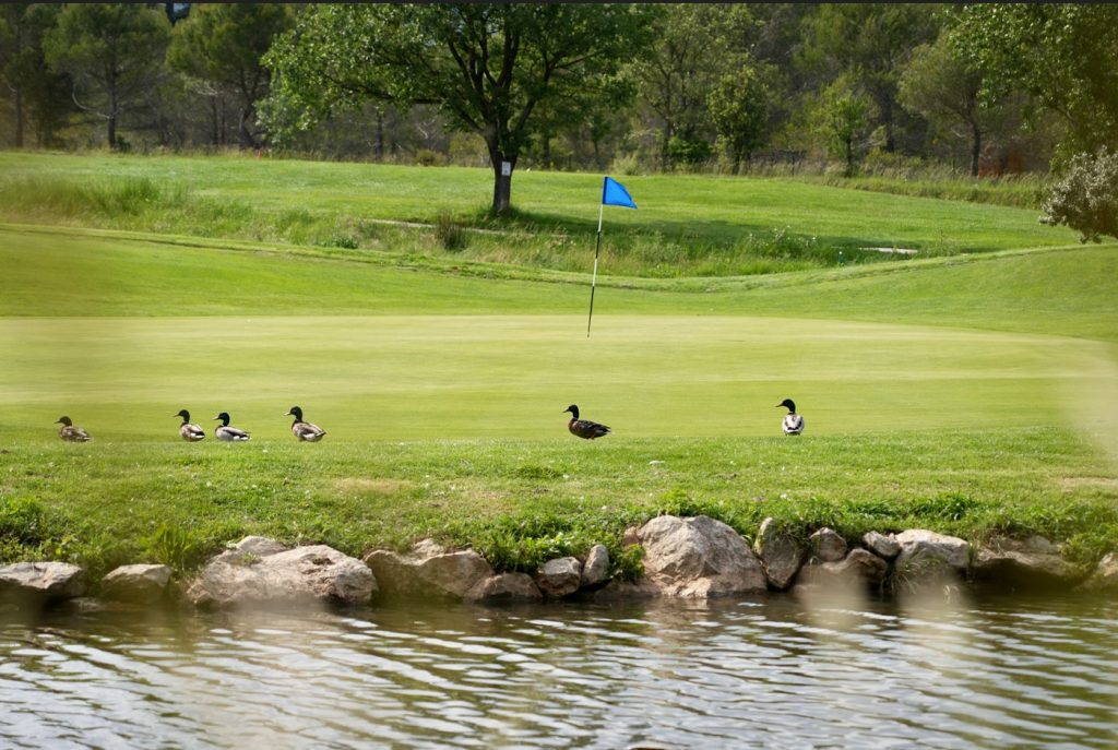 La préservation de la biodiversité au Golf Sainte Baume