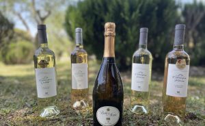 Un partenariat local engagé : les Vignerons de la Sainte Baume désormais disponibles au Golf Sainte Baume - Open Golf Club