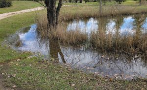 Heavy rainfall and living soils: Golf Sainte Baume’s commitment to exceptional playing quality - Open Golf Club