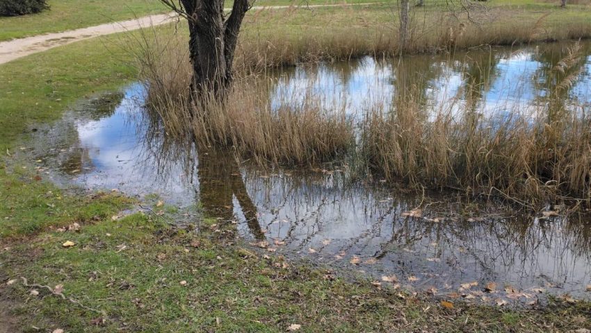 Pluies abondantes et sols vivants : l’engagement du Golf Sainte Baume pour une qualité de jeu d’exception
