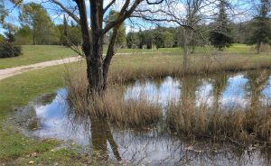 Pluies abondantes et sols vivants : l’engagement du Golf Sainte Baume pour une qualité de jeu d’exception - Open Golf Club
