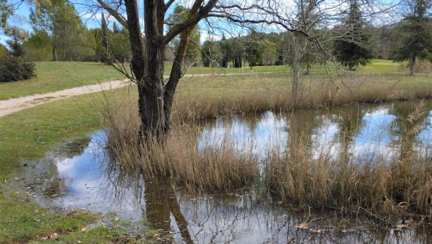 Pluies abondantes et sols vivants : l’engagement du Golf Sainte Baume pour une qualité de jeu d’exception