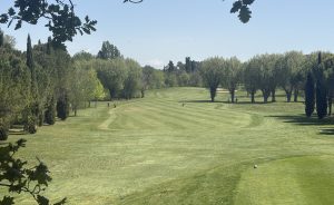 Le réveil du vivant : quand le gazon reprend vie au Golf Sainte Baume - Open Golf Club